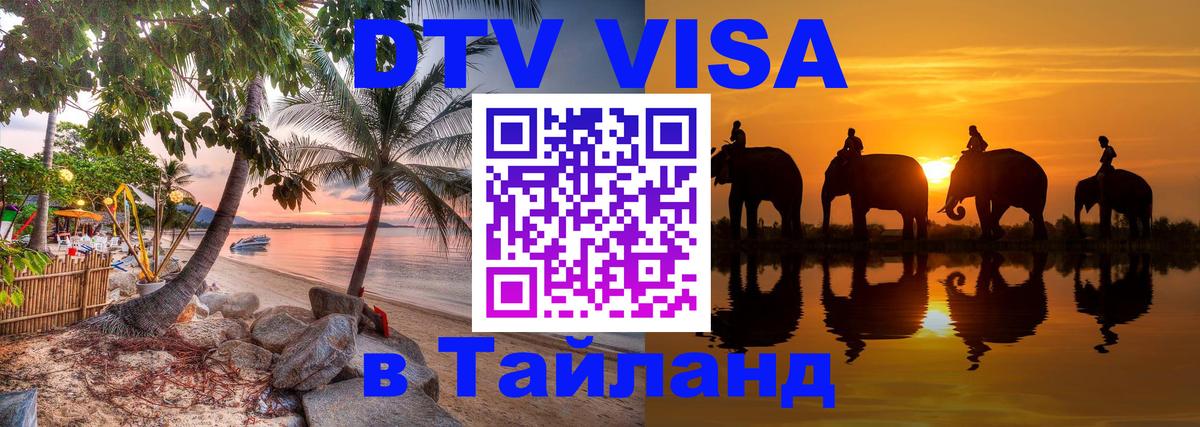 Оформление DTV визы под ключ: стоимость и тарифы, только загранпаспорт - 